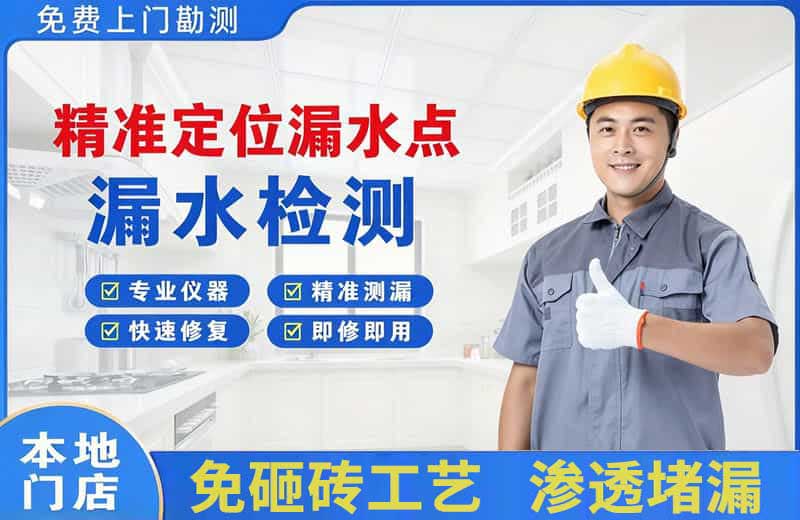 静宁精准测漏点